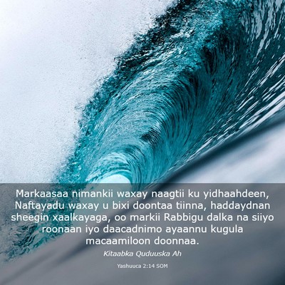 Picture 03 - Yashuuca 2:14 SOM - Markaasaa nimankii waxay naagtii ku yidhaahdeen, - Bible Verse Picture