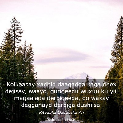 Picture 03 - Yashuuca 2:15 SOM - Kolkaasay xadhig daaqadda kaga dhex dejisay, - Bible Verse Picture