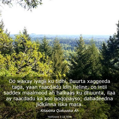 Picture 03 - Yashuuca 2:16 SOM - Oo waxay iyagii ku tidhi, Buurta xaggeeda taga, - Bible Verse Picture