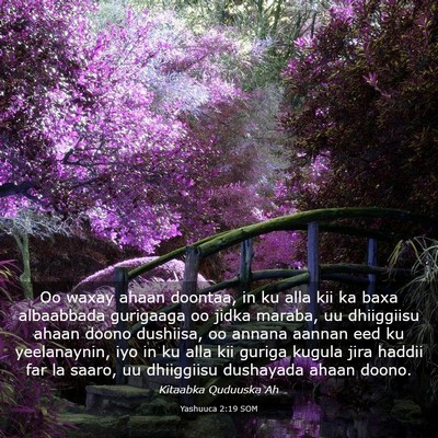 Picture 03 - Yashuuca 2:19 SOM - Oo waxay ahaan doontaa, in ku alla kii ka baxa - Bible Verse Picture