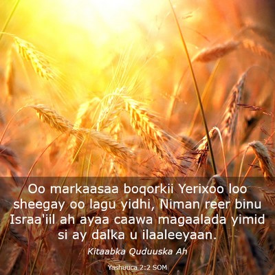 Picture 03 - Yashuuca 2:2 SOM - Oo markaasaa boqorkii Yerixoo loo sheegay oo lagu - Bible Verse Picture