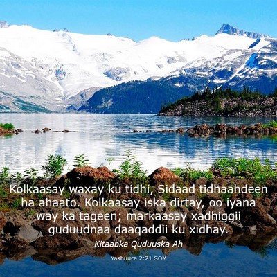 Picture 03 - Yashuuca 2:21 SOM - Kolkaasay waxay ku tidhi, Sidaad tidhaahdeen ha - Bible Verse Picture