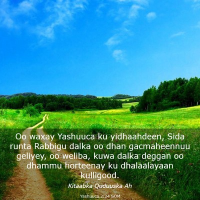 Picture 03 - Yashuuca 2:24 SOM - Oo waxay Yashuuca ku yidhaahdeen, Sida runta - Bible Verse Picture