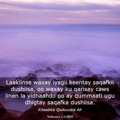 Picture 03 - Yashuuca 2:6 SOM - Laakiinse waxay iyagii keentay saqafkii dushiisa, - Bible Verse Picture