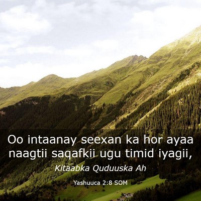 Picture 03 - Yashuuca 2:8 SOM - Oo intaanay seexan ka hor ayaa naagtii saqafkii - Bible Verse Picture