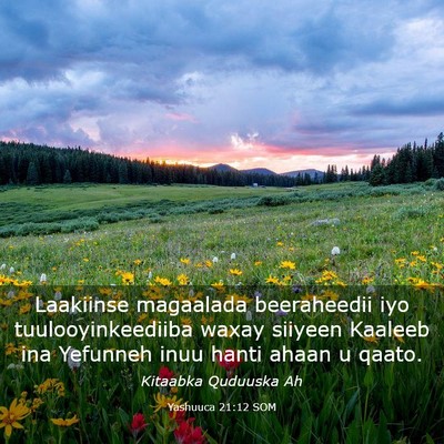 Picture 03 - Yashuuca 21:12 SOM - Laakiinse magaalada beeraheedii iyo - Bible Verse Picture