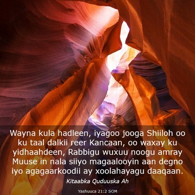 Picture 03 - Yashuuca 21:2 SOM - Wayna kula hadleen, iyagoo jooga Shiiloh oo ku - Bible Verse Picture