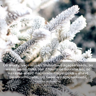Picture 03 - Yashuuca 21:21 SOM - Oo waxay iyagii siiyeen Shekem iyo agagaarkeedii, - Bible Verse Picture