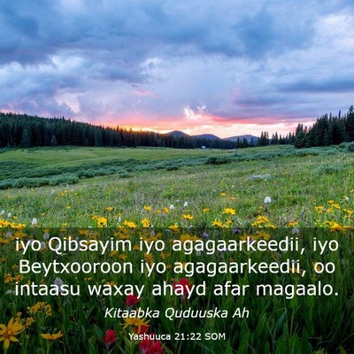 Picture 03 - Yashuuca 21:22 SOM - iyo Qibsayim iyo agagaarkeedii, iyo Beytxooroon - Bible Verse Picture