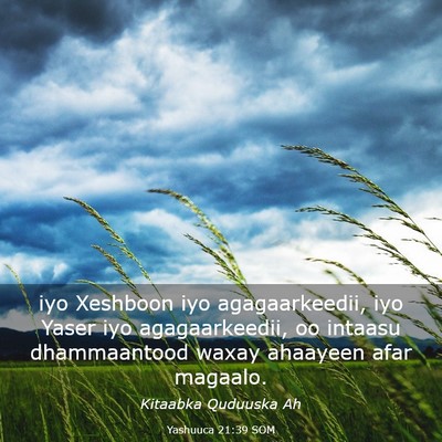 Picture 03 - Yashuuca 21:39 SOM - iyo Xeshboon iyo agagaarkeedii, iyo Yaser iyo - Bible Verse Picture