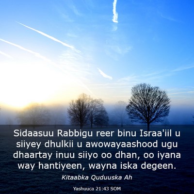 Picture 03 - Yashuuca 21:43 SOM - Sidaasuu Rabbigu reer binu Israa'iil u siiyey - Bible Verse Picture