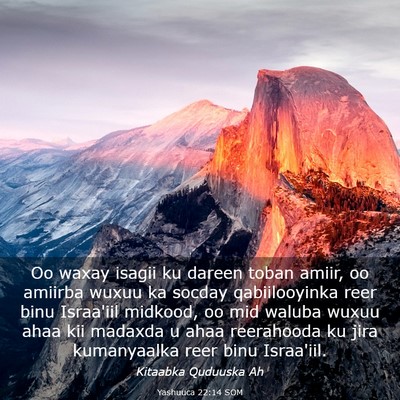 Picture 03 - Yashuuca 22:14 SOM - Oo waxay isagii ku dareen toban amiir, oo amiirba - Bible Verse Picture