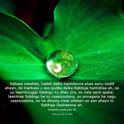 Picture 03 - Yashuuca 22:19 SOM - Habase yeeshee, haddii dalkii hantidiinna ahaa - Bible Verse Picture