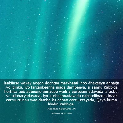 Picture 03 - Yashuuca 22:27 SOM - laakiinse waxay noqon doontaa markhaati inoo - Bible Verse Picture