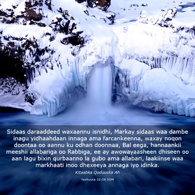 Picture 03 - Yashuuca 22:28 SOM - Sidaas daraaddeed waxaannu isnidhi, Markay sidaas - Bible Verse Picture