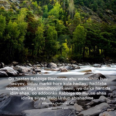 Picture 03 - Yashuuca 22:4 SOM - Oo haatan Rabbiga Ilaahiinna ahu walaalihiin buu - Bible Verse Picture