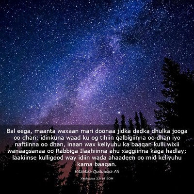 Picture 03 - Yashuuca 23:14 SOM - Bal eega, maanta waxaan mari doonaa jidka dadka - Bible Verse Picture