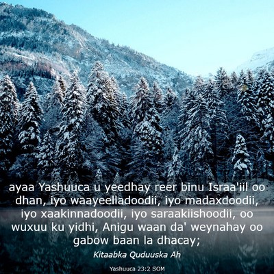 Picture 03 - Yashuuca 23:2 SOM - ayaa Yashuuca u yeedhay reer binu Israa'iil oo - Bible Verse Picture