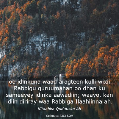 Picture 03 - Yashuuca 23:3 SOM - oo idinkuna waad aragteen kulli wixii Rabbigu - Bible Verse Picture