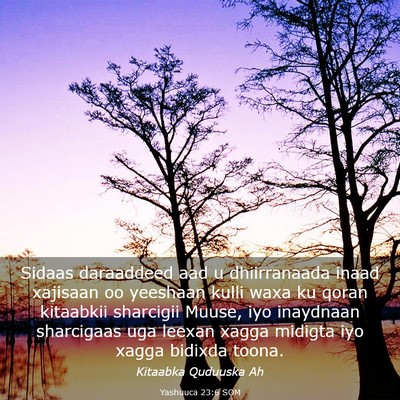 Picture 03 - Yashuuca 23:6 SOM - Sidaas daraaddeed aad u dhiirranaada inaad - Bible Verse Picture