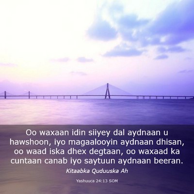 Picture 03 - Yashuuca 24:13 SOM - Oo waxaan idin siiyey dal aydnaan u hawshoon, iyo - Bible Verse Picture