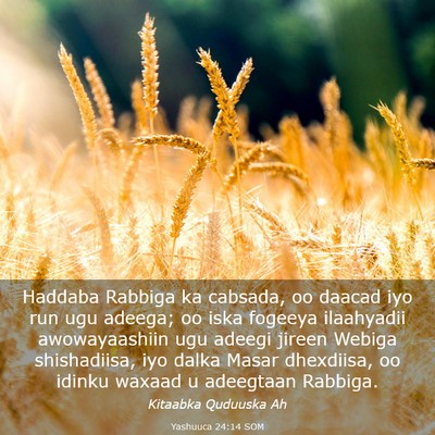 Picture 03 - Yashuuca 24:14 SOM - Haddaba Rabbiga ka cabsada, oo daacad iyo run ugu - Bible Verse Picture
