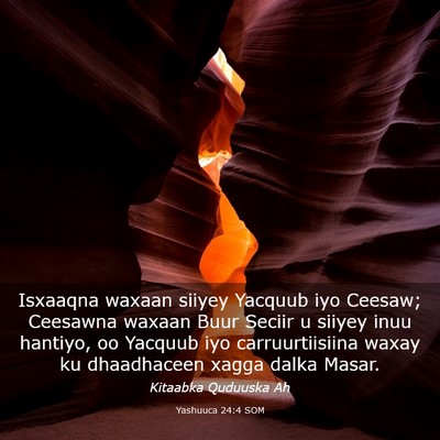 Picture 03 - Yashuuca 24:4 SOM - Isxaaqna waxaan siiyey Yacquub iyo Ceesaw; - Bible Verse Picture