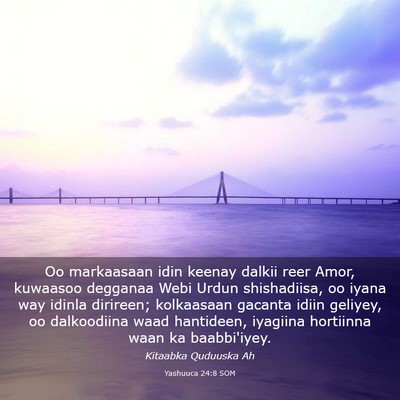 Picture 03 - Yashuuca 24:8 SOM - Oo markaasaan idin keenay dalkii reer Amor, - Bible Verse Picture