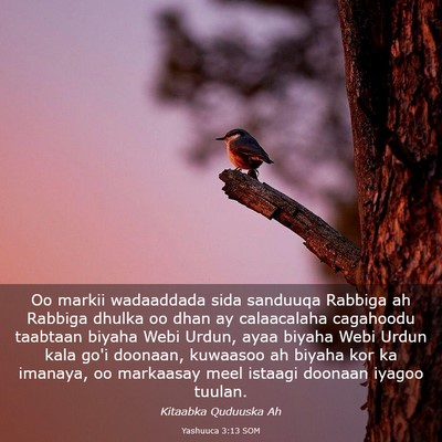 Picture 03 - Yashuuca 3:13 SOM - Oo markii wadaaddada sida sanduuqa Rabbiga ah - Bible Verse Picture