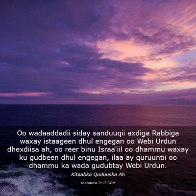 Picture 03 - Yashuuca 3:17 SOM - Oo wadaaddadii siday sanduuqii axdiga Rabbiga - Bible Verse Picture