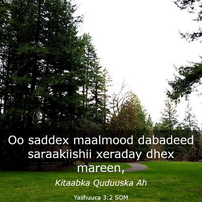 Picture 03 - Yashuuca 3:2 SOM - Oo saddex maalmood dabadeed saraakiishii xeraday - Bible Verse Picture