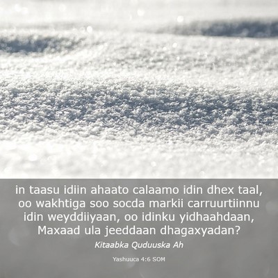 Picture 03 - Yashuuca 4:6 SOM - in taasu idiin ahaato calaamo idin dhex taal, oo - Bible Verse Picture