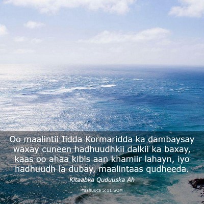Picture 03 - Yashuuca 5:11 SOM - Oo maalintii Iidda Kormaridda ka dambaysay waxay - Bible Verse Picture