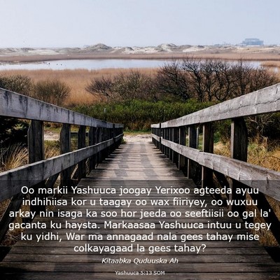 Picture 03 - Yashuuca 5:13 SOM - Oo markii Yashuuca joogay Yerixoo agteeda ayuu - Bible Verse Picture