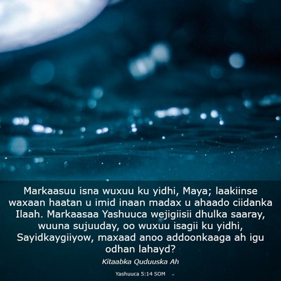 Picture 03 - Yashuuca 5:14 SOM - Markaasuu isna wuxuu ku yidhi, Maya; laakiinse - Bible Verse Picture