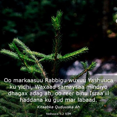 Picture 03 - Yashuuca 5:2 SOM - Oo markaasuu Rabbigu wuxuu Yashuuca ku yidhi, - Bible Verse Picture