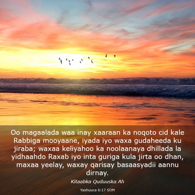 Picture 03 - Yashuuca 6:17 SOM - Oo magaalada waa inay xaaraan ka noqoto cid kale - Bible Verse Picture