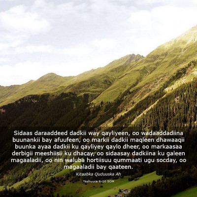 Picture 03 - Yashuuca 6:20 SOM - Sidaas daraaddeed dadkii way qayliyeen, oo - Bible Verse Picture