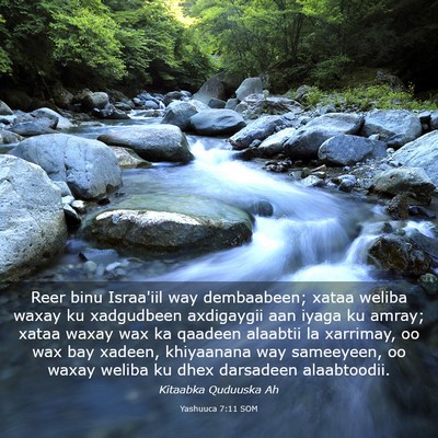 Picture 03 - Yashuuca 7:11 SOM - Reer binu Israa'iil way dembaabeen; xataa weliba - Bible Verse Picture