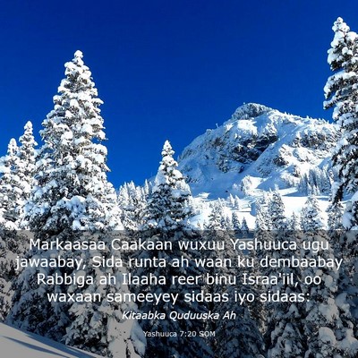 Picture 03 - Yashuuca 7:20 SOM - Markaasaa Caakaan wuxuu Yashuuca ugu jawaabay, - Bible Verse Picture