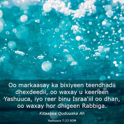 Picture 03 - Yashuuca 7:23 SOM - Oo markaasay ka bixiyeen teendhadii dhexdeedii, - Bible Verse Picture