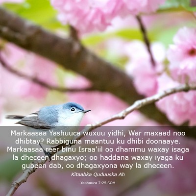 Picture 03 - Yashuuca 7:25 SOM - Markaasaa Yashuuca wuxuu yidhi, War maxaad noo - Bible Verse Picture