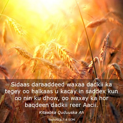 Picture 03 - Yashuuca 7:4 SOM - Sidaas daraaddeed waxaa dadkii ka tegey oo - Bible Verse Picture