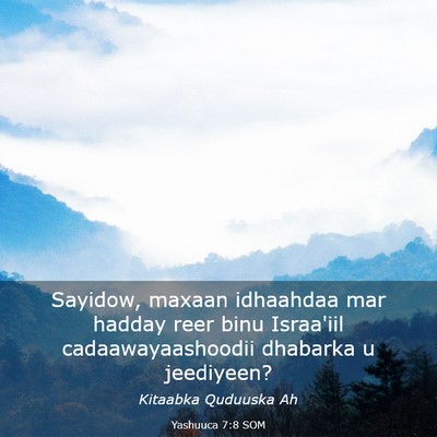 Picture 03 - Yashuuca 7:8 SOM - Sayidow, maxaan idhaahdaa mar hadday reer binu - Bible Verse Picture