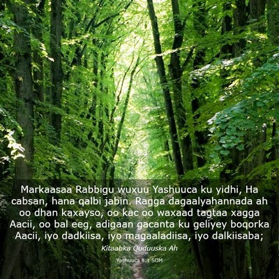Picture 03 - Yashuuca 8:1 SOM - Markaasaa Rabbigu wuxuu Yashuuca ku yidhi, Ha - Bible Verse Picture