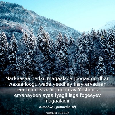 Picture 03 - Yashuuca 8:16 SOM - Markaasaa dadkii magaalada joogay oo dhan waxaa - Bible Verse Picture