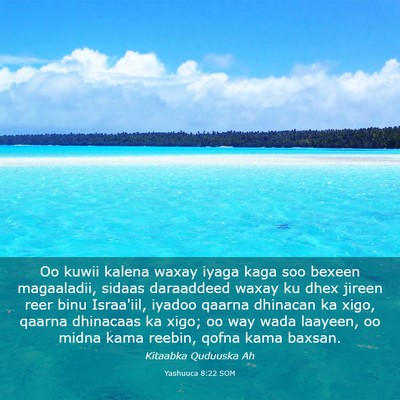 Picture 03 - Yashuuca 8:22 SOM - Oo kuwii kalena waxay iyaga kaga soo bexeen - Bible Verse Picture