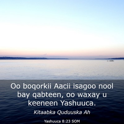 Picture 03 - Yashuuca 8:23 SOM - Oo boqorkii Aacii isagoo nool bay qabteen, oo - Bible Verse Picture