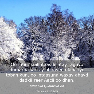 Picture 03 - Yashuuca 8:25 SOM - Oo intii maalintaas le'atay rag iyo dumarba waxay - Bible Verse Picture