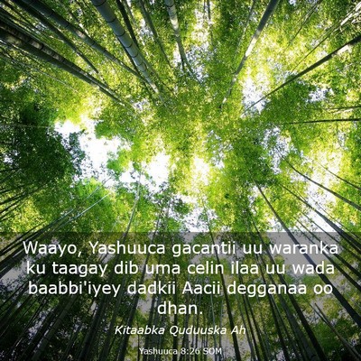Picture 03 - Yashuuca 8:26 SOM - Waayo, Yashuuca gacantii uu waranka ku taagay dib - Bible Verse Picture